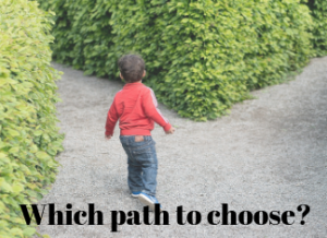 Which way to choose?