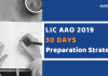 LIC AAO Preparation Strategy