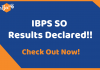 IBPS SO Results Declared
