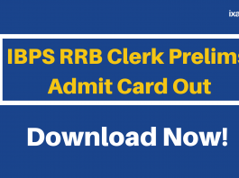 IBPS RRB Clerk Admit Card Released