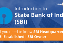 All You Need to Know About SBI