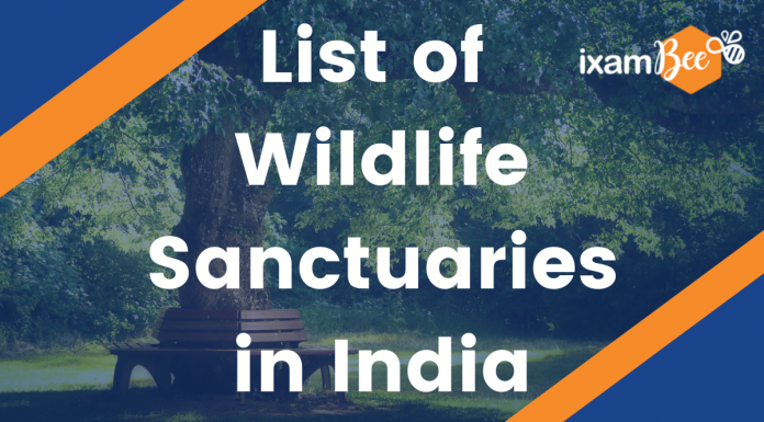 List of Wildlife Sanctuaries in India: Discover Nature’s Hidden Gems