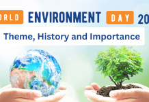 environment day 2024