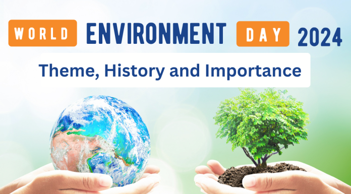 environment day 2024