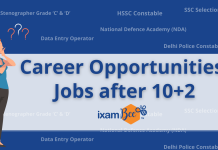 Government jobs after class 12.