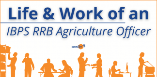 Life of an IBPS RRB Scale 2 Agriculture Officer- Job Profile and More.