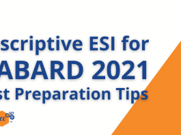 NABARD Grade A 2021 Descriptive ESI