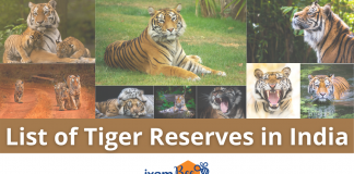 List of Tiger Reserves in India