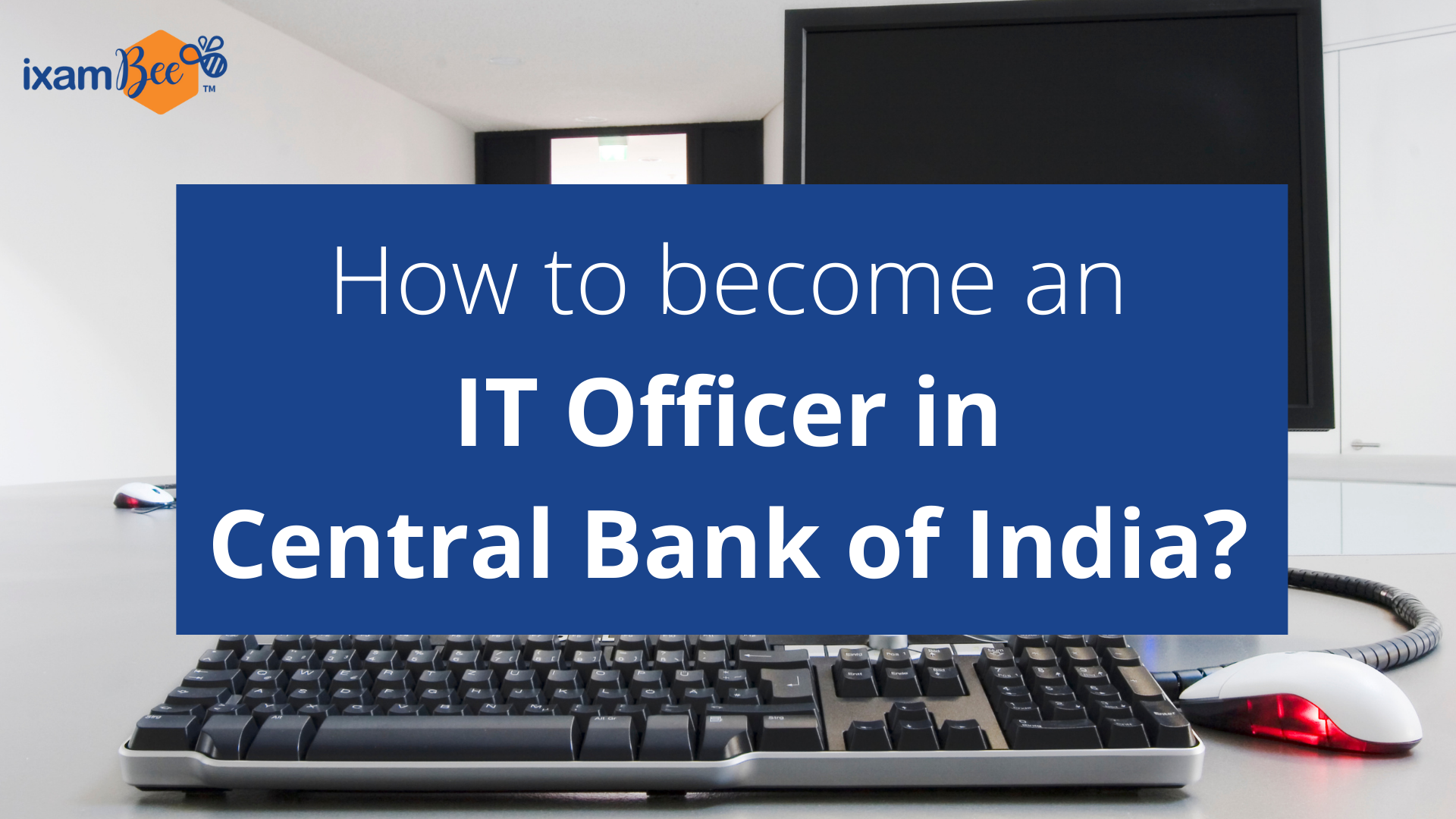 Central Bank of India IT Officer