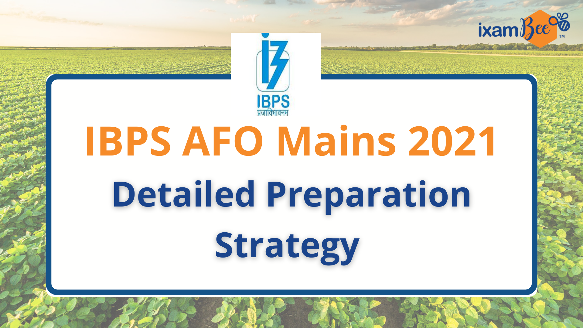 IBPS SO AFO Mains 2021