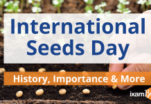 International Seeds Day
