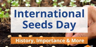 International Seeds Day
