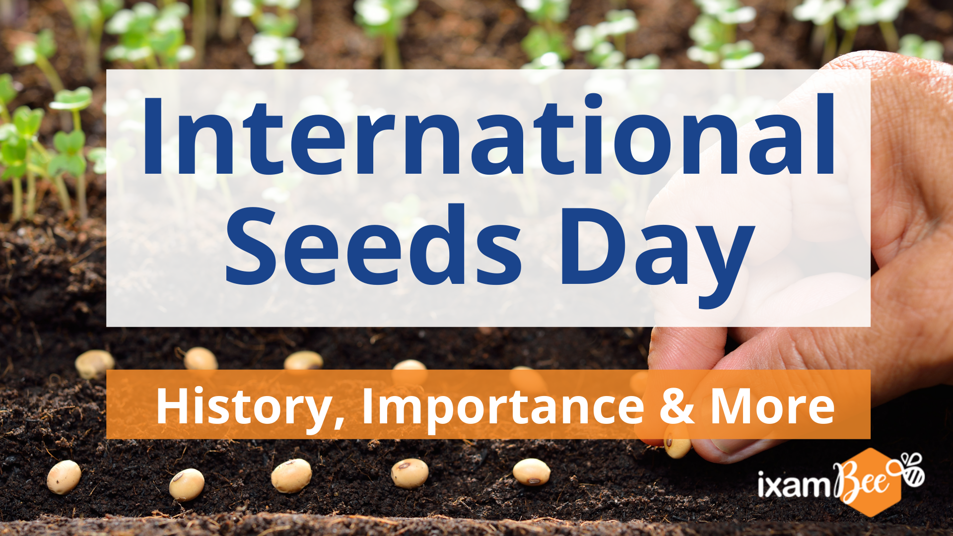 International Seeds Day
