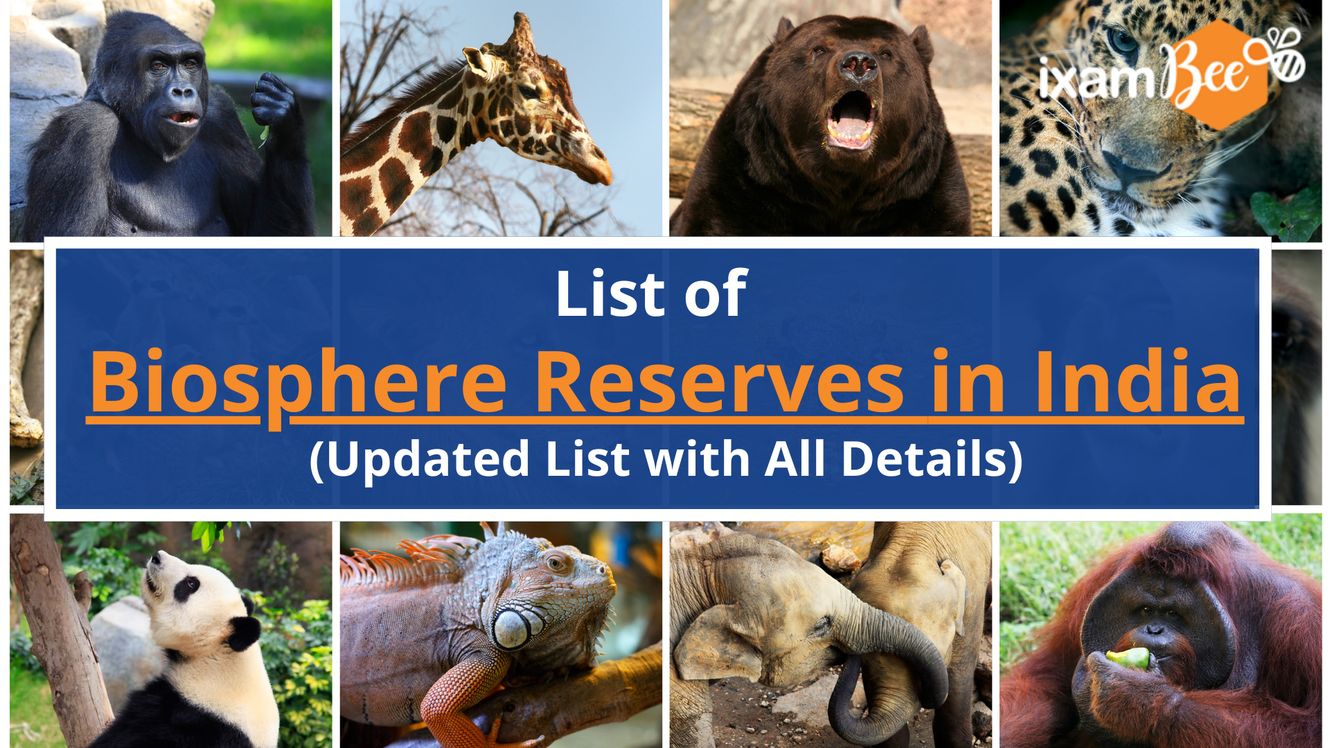 Biosphere Reserves in India [Updated 2022]