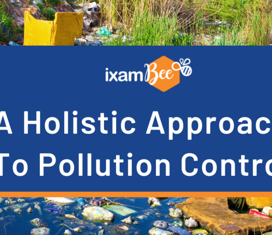A Holistic Approach to Pollution