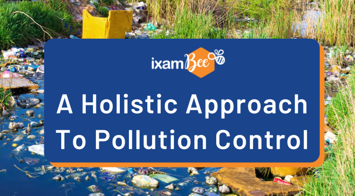 A Holistic Approach to Pollution