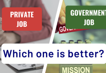 Government Job vs Private Job: Which one is better?