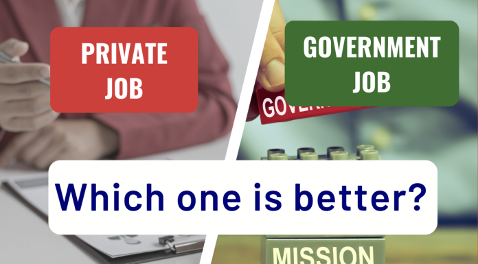 Government Job vs Private Job: Which one is better?
