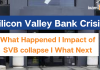 Silicon Valley Bank Crisis 2023