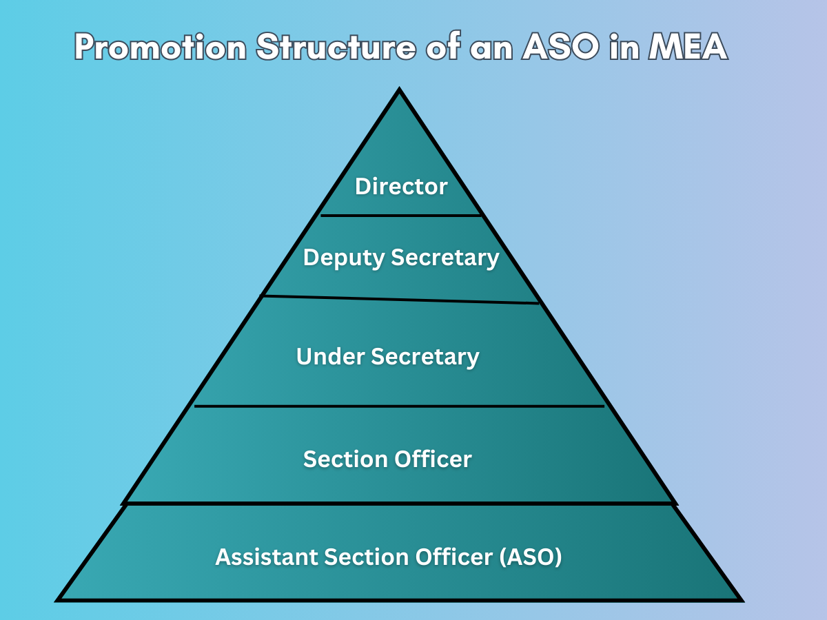 StepbyStep Guide an Assistant Section Officer in MEA