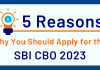 Why to apply for SBI CBO?