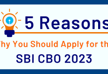 Why to apply for SBI CBO?