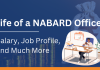 NABARD Grade A/B Job Profile, salary and other details
