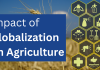 Impact of Globalization on Agriculture