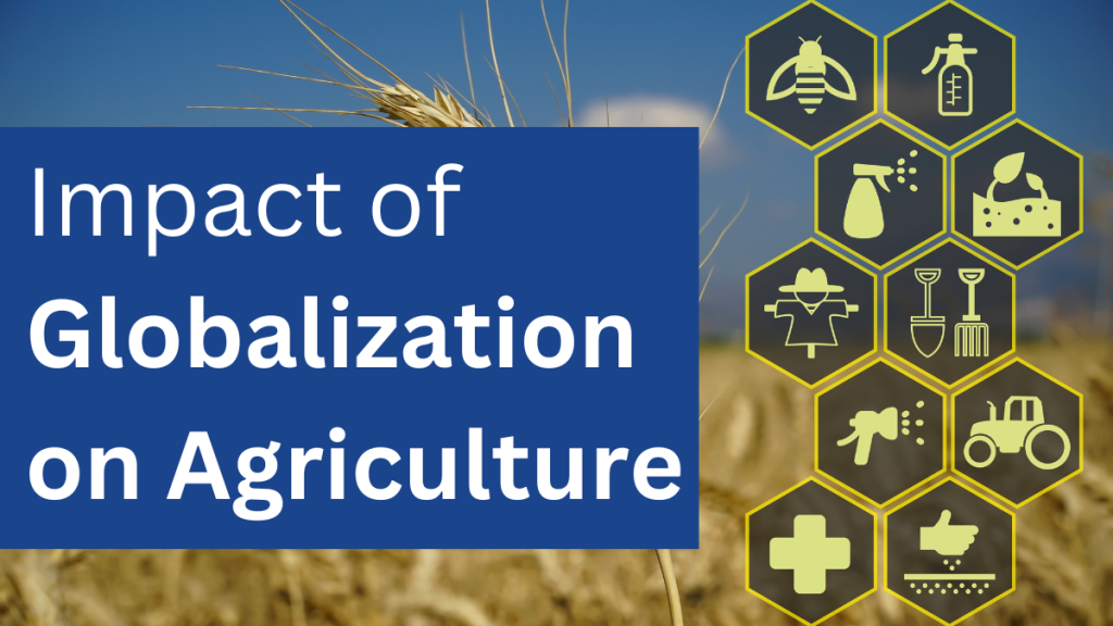 Impact of Globalization on Agriculture