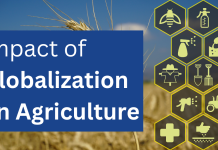 Impact of Globalization on Agriculture