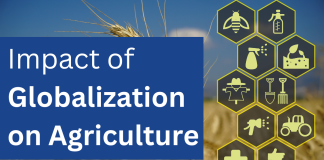 Impact of Globalization on Agriculture