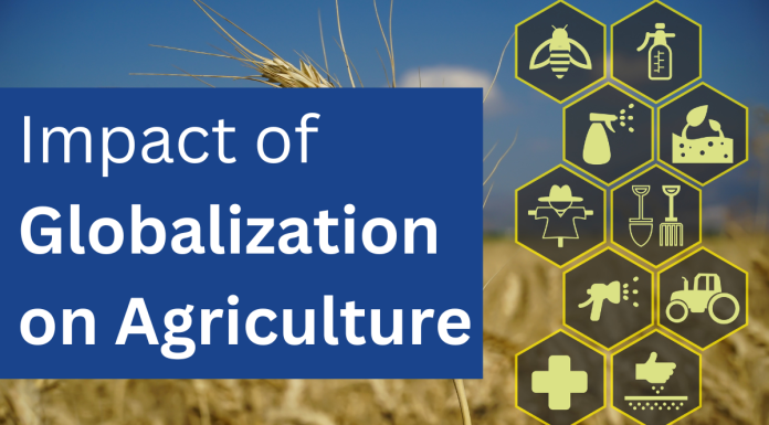 Impact of Globalization on Agriculture