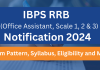 IBPS RRB 2024