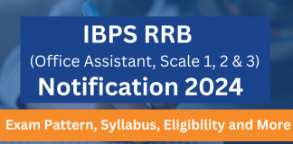 IBPS RRB 2024