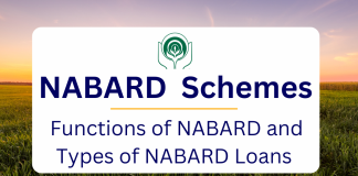 Functions of NABARD and Loan Schemes by NABARD