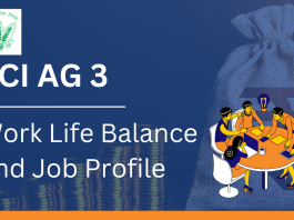FCI AG 3 Work Life Balance and Job Profile  