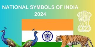 Symbol 2024
