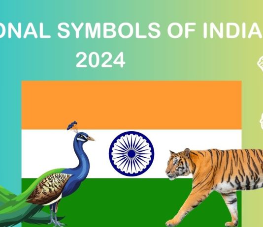 Symbol 2024