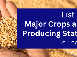 Crops in India