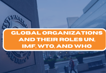 Global Organizations and Their Functions: UN, IMF, WTO, and WHO 