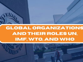 Global Organizations and Their Functions: UN, IMF, WTO, and WHO 