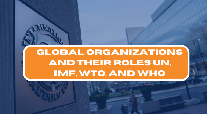 Global Organizations and Their Functions: UN, IMF, WTO, and WHO 