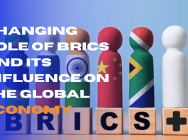Changing Role of BRICS and Its Influence on the Global Economy