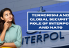 Interpol and NATO