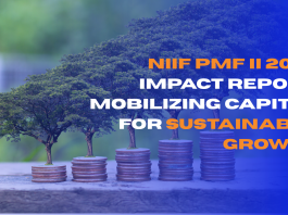 NIIF PMF II 2025 Impact Report Mobilizing Capital for Sustainable Growth