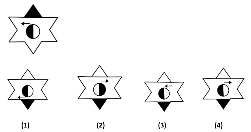 Answer-Select the correct mirror image of the given figure when the ...